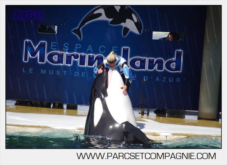 Marineland - Orques - spectacle 15h15 - 5385