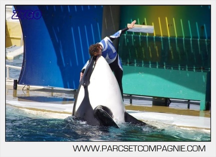 Marineland - Orques - spectacle 15h15 - 5386