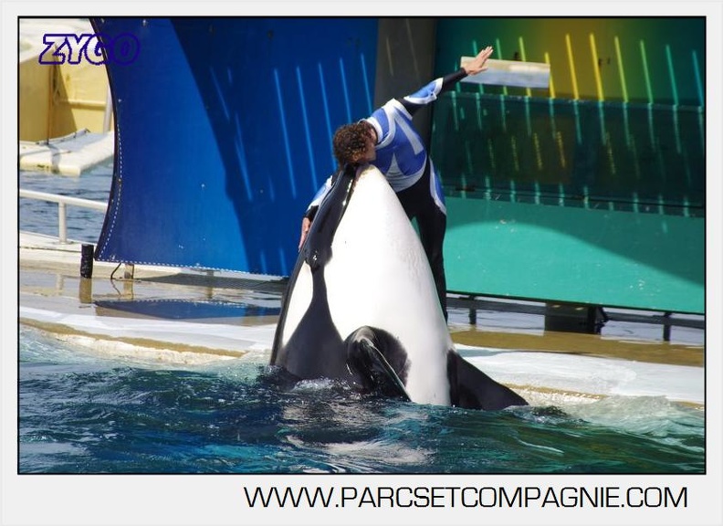 Marineland - Orques - spectacle 15h15 - 5387