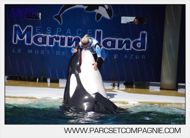 Marineland - Orques - spectacle 15h15 - 5388