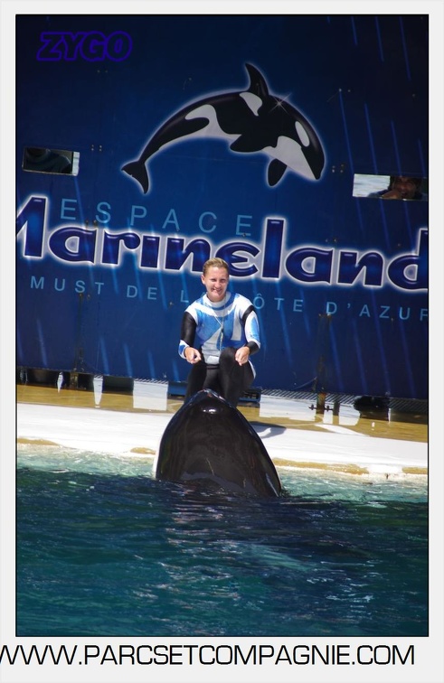 Marineland - Orques - spectacle 15h15 - 5390