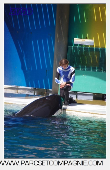 Marineland - Orques - spectacle 15h15 - 5391