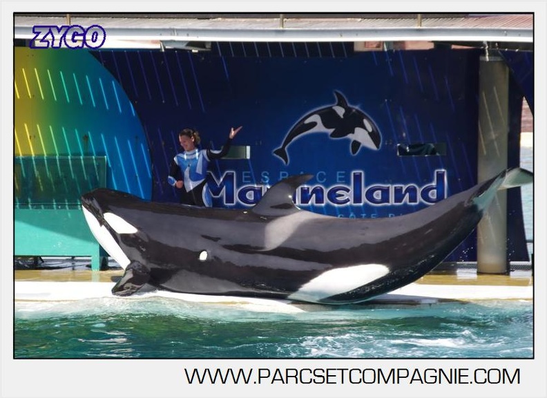 Marineland - Orques - spectacle 15h15 - 5392