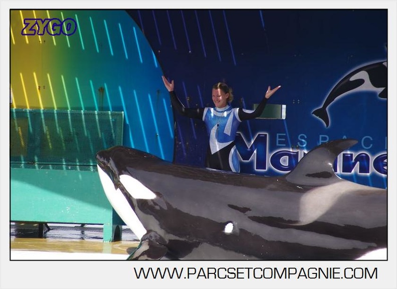 Marineland - Orques - spectacle 15h15 - 5393