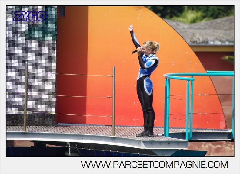 Marineland - Orques - spectacle 15h15 - 5395