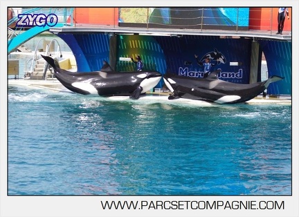 Marineland - Orques - spectacle 15h15 - 5398