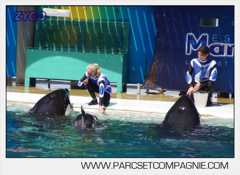 Marineland - Orques - spectacle 15h15 - 5401