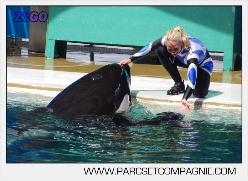 Marineland - Orques - spectacle 15h15 - 5402