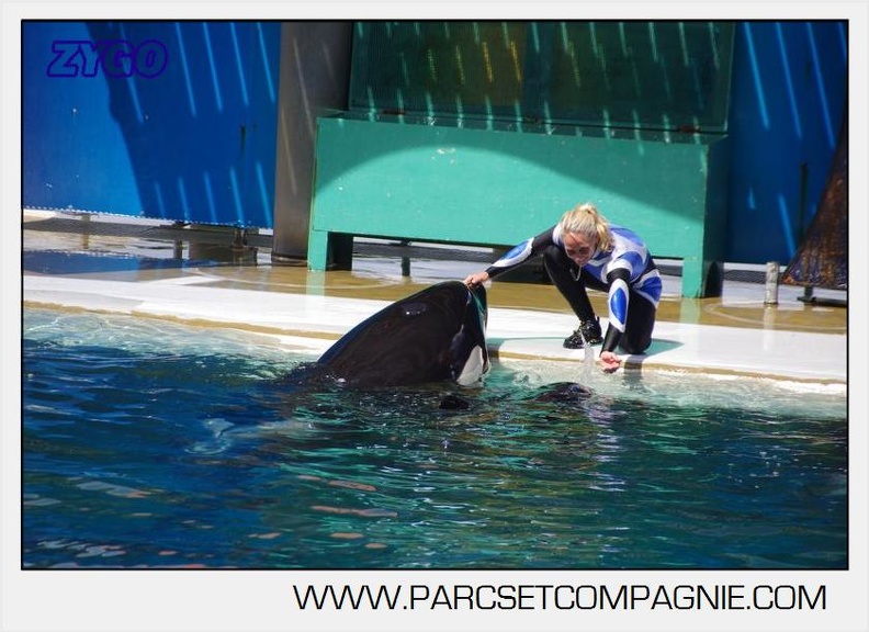 Marineland - Orques - spectacle 15h15 - 5403