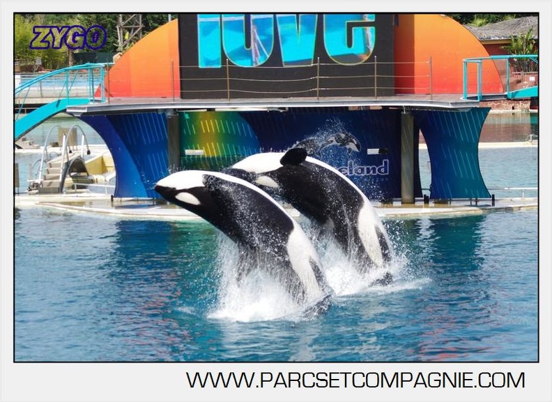Marineland - Orques - spectacle 15h15 - 5407