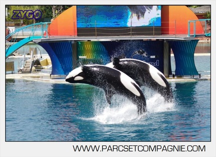 Marineland - Orques - spectacle 15h15 - 5408