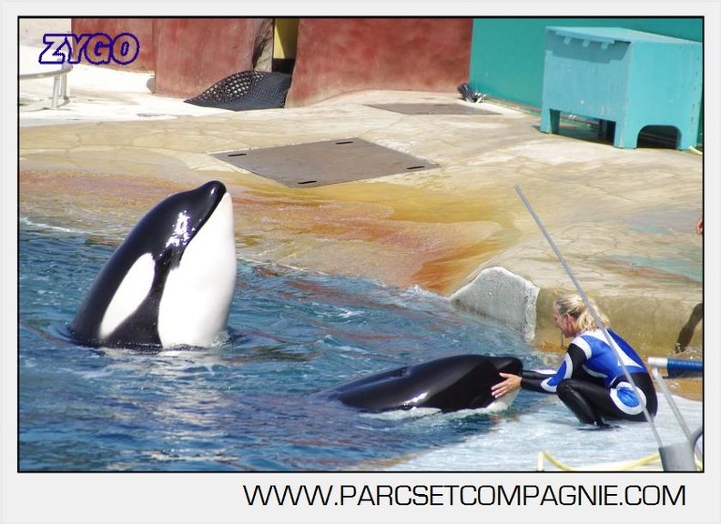 Marineland - Orques - spectacle 15h15 - 5410