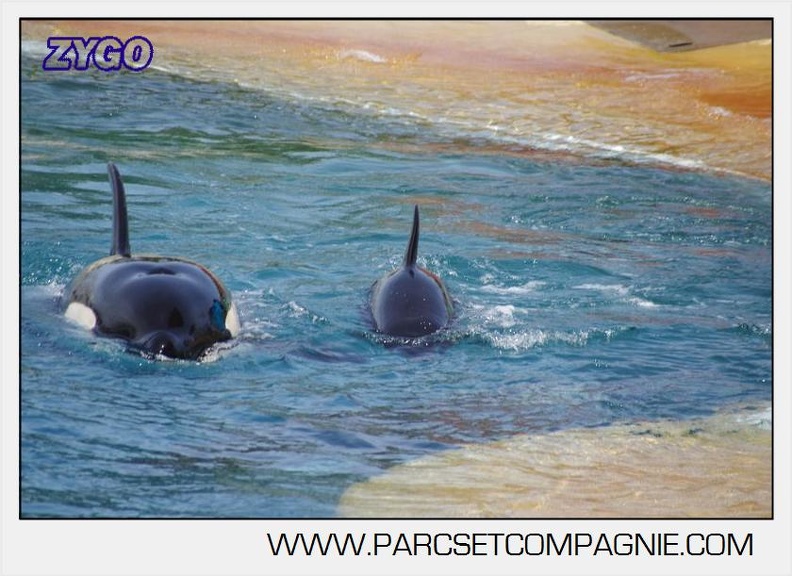 Marineland - Orques - spectacle 15h15 - 5411