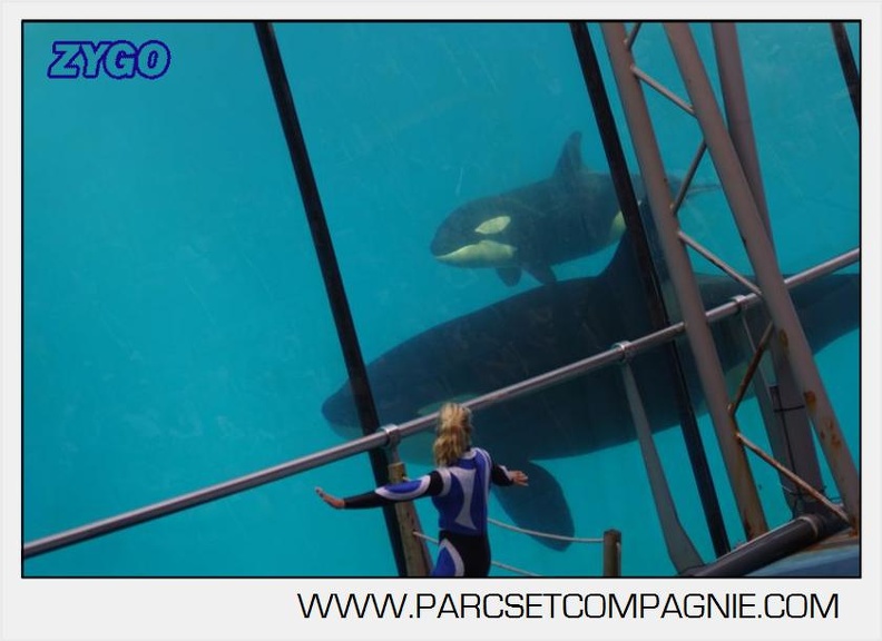 Marineland - Orques - spectacle 15h15 - 5415