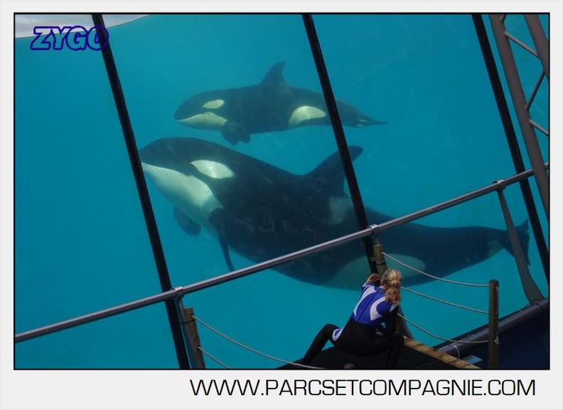 Marineland - Orques - spectacle 15h15 - 5420