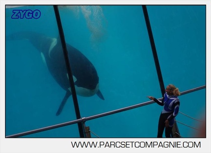Marineland - Orques - spectacle 15h15 - 5421
