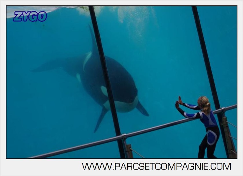 Marineland - Orques - spectacle 15h15 - 5422