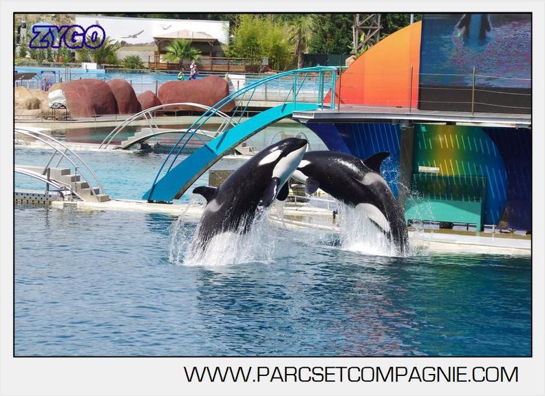 Marineland - Orques - spectacle 15h15 - 5444