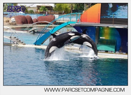 Marineland - Orques - spectacle 15h15 - 5445