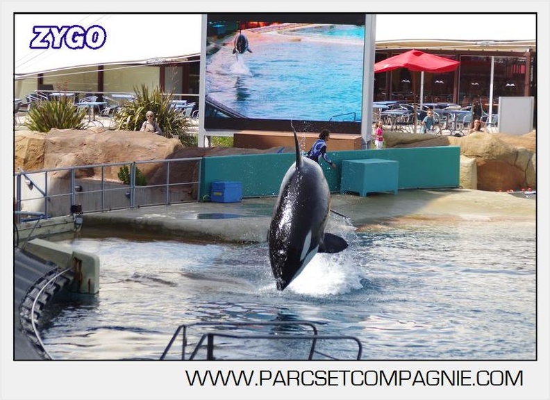 Marineland - Orques - spectacle 15h15 - 5446