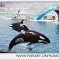 Marineland - Orques - spectacle 15h15 - 5447