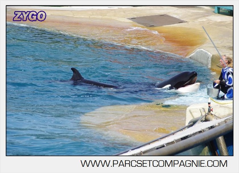 Marineland - Orques - spectacle 15h15 - 5448