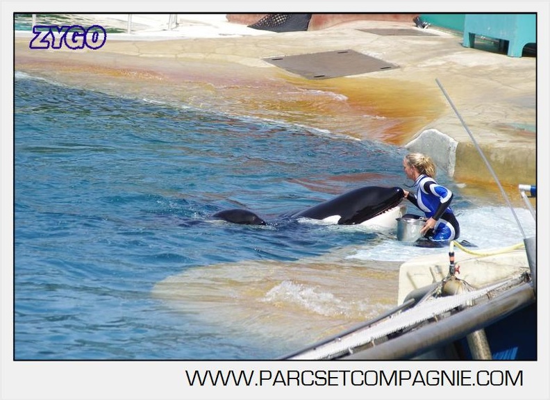 Marineland - Orques - spectacle 15h15 - 5450