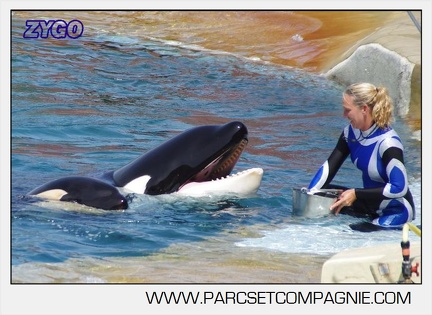Marineland - Orques - spectacle 15h15 - 5451