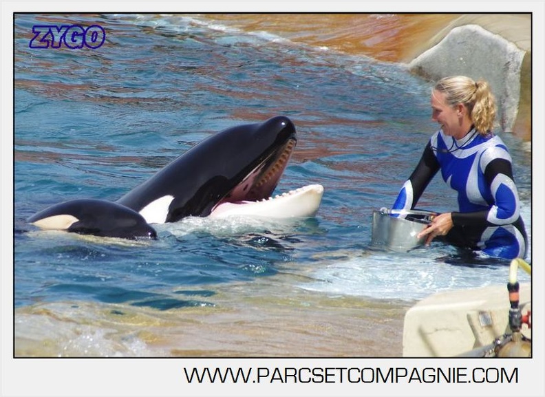 Marineland - Orques - spectacle 15h15 - 5452