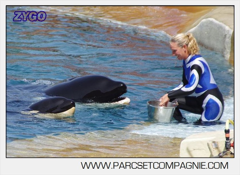 Marineland - Orques - spectacle 15h15 - 5454