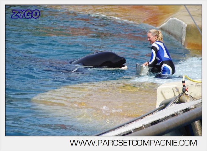 Marineland - Orques - spectacle 15h15 - 5456