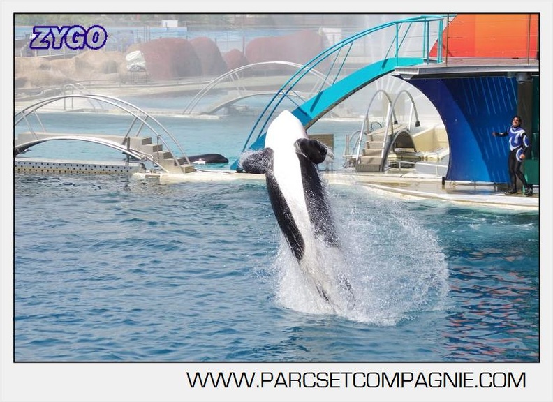 Marineland - Orques - spectacle 15h15 - 5457