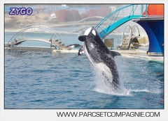 Marineland - Orques - spectacle 15h15 - 5458