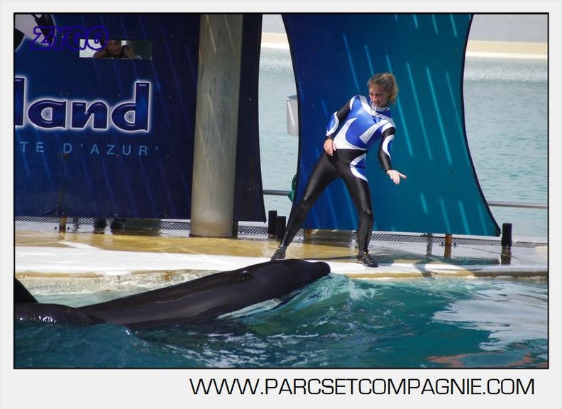 Marineland - Orques - spectacle 15h15 - 5459