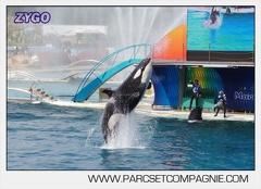 Marineland - Orques - spectacle 15h15 - 5460