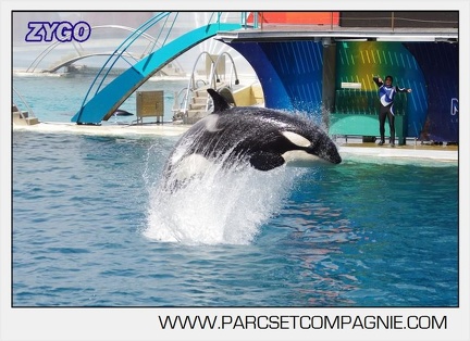 Marineland - Orques - spectacle 15h15 - 5465