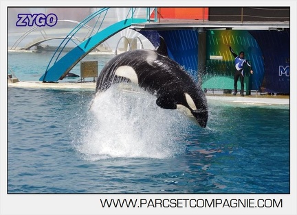 Marineland - Orques - spectacle 15h15 - 5466