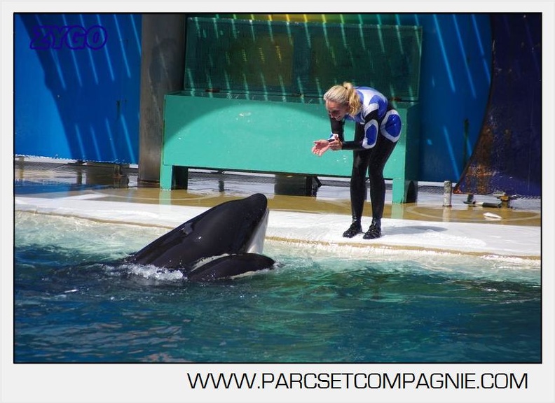 Marineland - Orques - spectacle 15h15 - 5470