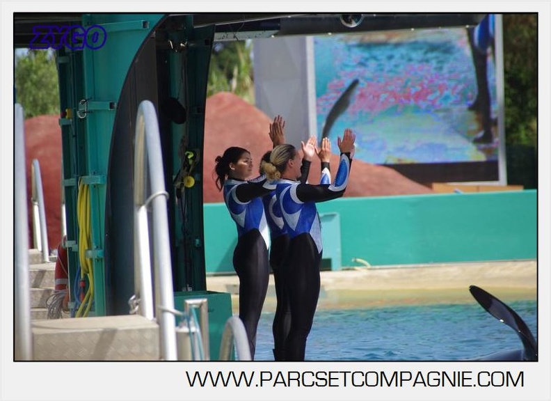 Marineland - Orques - spectacle 15h15 - 5472