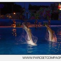 Marineland - Dauphins - Spectacle nocturne - 5836