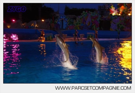 Marineland - Dauphins - Spectacle nocturne - 5836