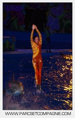 Marineland - Dauphins - Spectacle nocturne - 5840