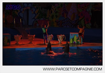 Marineland - Dauphins - Spectacle nocturne - 5844