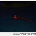 Marineland - Dauphins - Spectacle nocturne - 5846