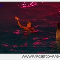 Marineland - Dauphins - Spectacle nocturne - 5847