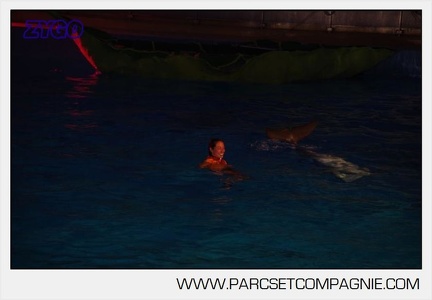 Marineland - Dauphins - Spectacle nocturne - 5848