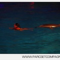 Marineland - Dauphins - Spectacle nocturne - 5852
