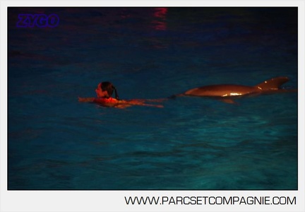 Marineland - Dauphins - Spectacle nocturne - 5852
