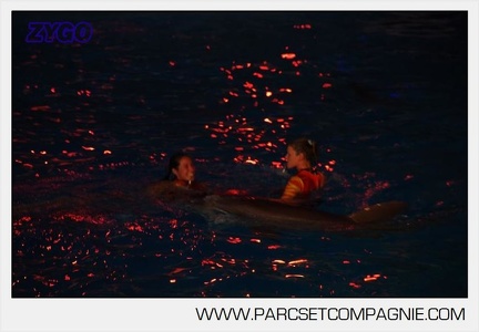 Marineland - Dauphins - Spectacle nocturne - 5853