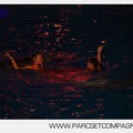 Marineland - Dauphins - Spectacle nocturne - 5854